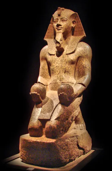 Functions of the Pharaoh