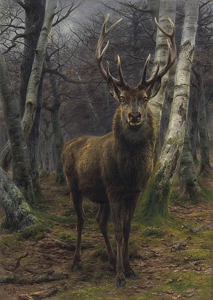 King of the Forest