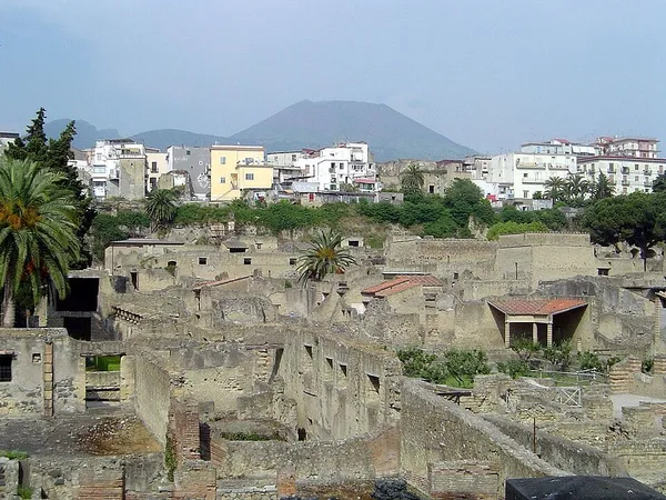 Conservation issues of Pompeii and Herculaneum