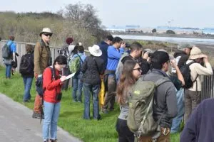 Golden Gate Bird Alliance