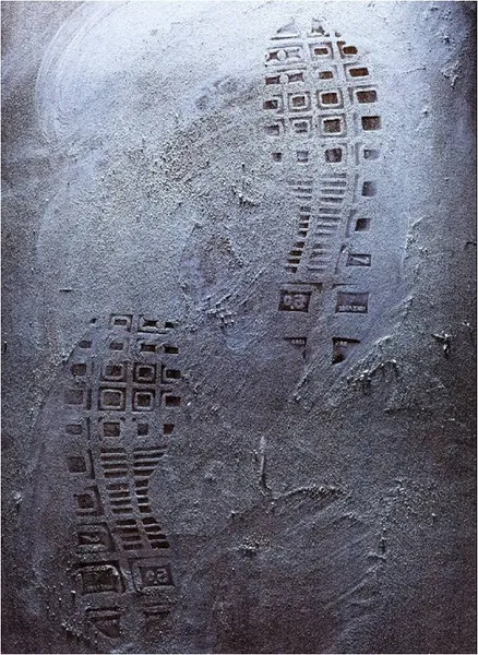 Forensic photography