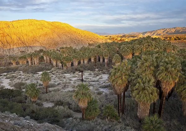 Coachella Valley
