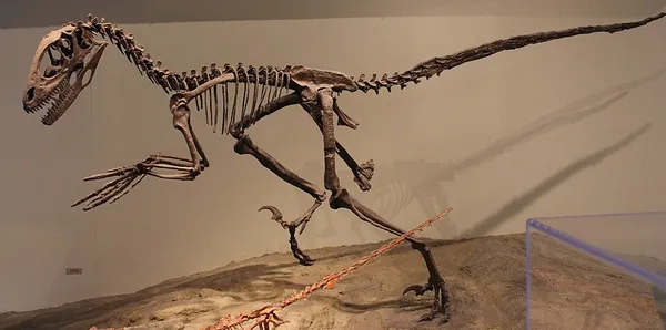 Dinosaur renaissance