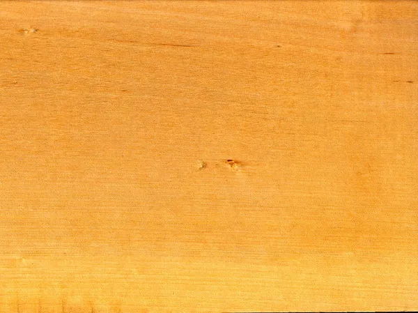 Birch wood