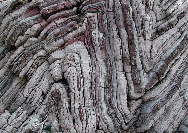 Fold (geology)