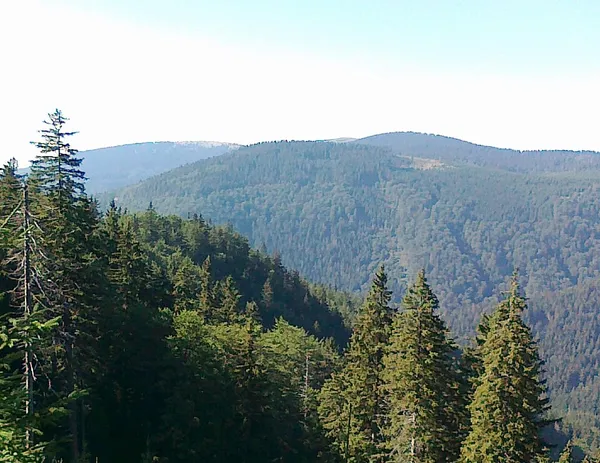 Homole (mountain)