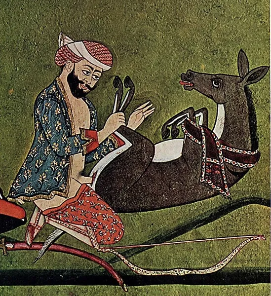 Bestiality with a donkey
