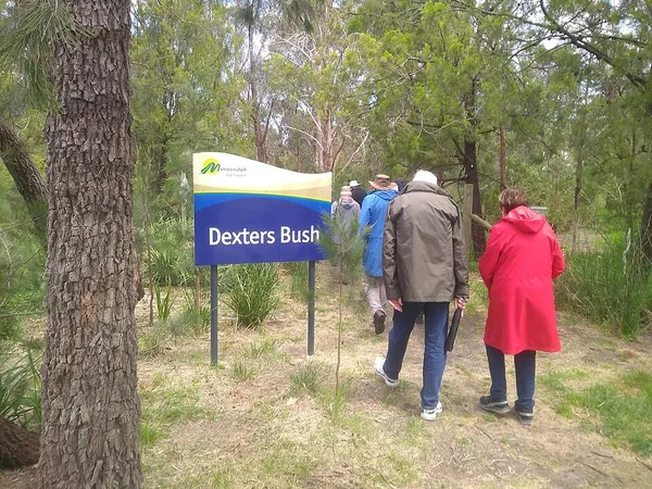 Dexter's Bush