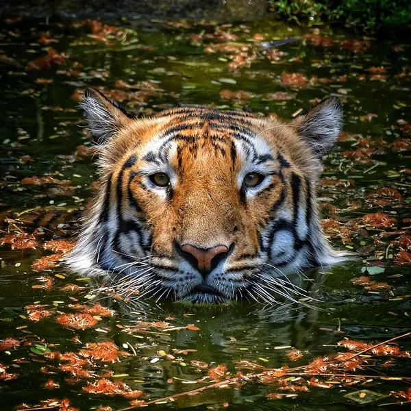 List of Ramsar sites in India