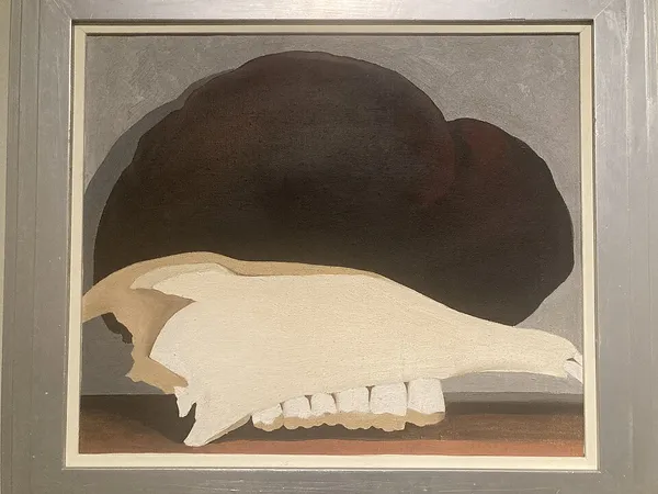 Jawbone and Fungus