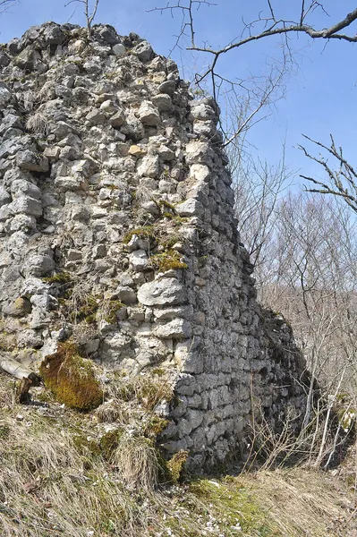 Château de Cessens-Vieux