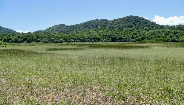 Eastern Shores (iSimangaliso Wetland Park)