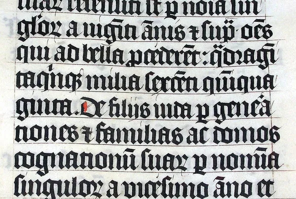 Gothic script (palaeography)