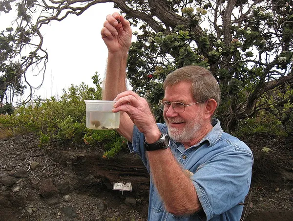Donald A. Swanson