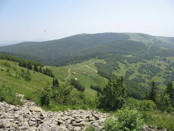 Golija (Serbia)