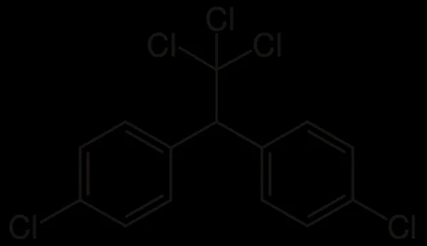 DDT
