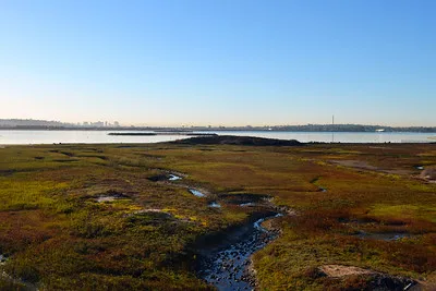 California coastal salt marsh