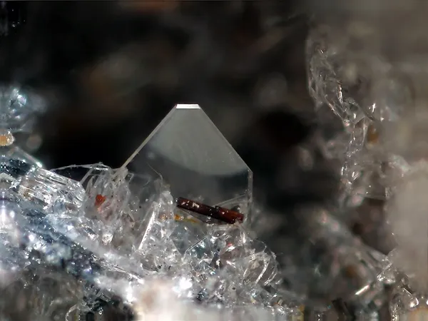 Forsterite