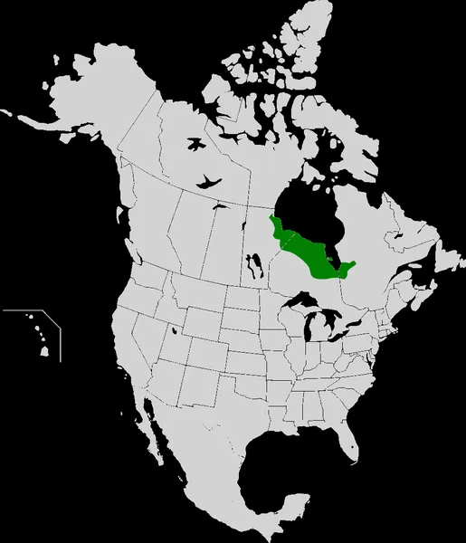 Hudson Bay Lowlands