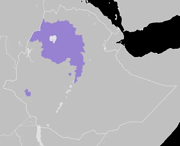 Amharic
