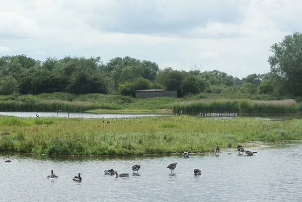 Brandon Marsh nature reserve